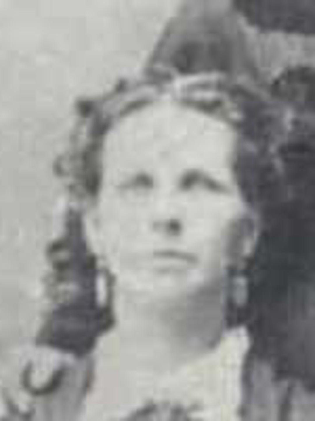 Mary Horrocks (1836 - 1908) Profile